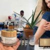 Nature’s Power Multi-Purpose Topical Cream